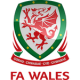 Wales fotbalový dres
